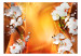 Fototapeta Kompozycja z kwiatami - białe orchidee na pomarańczowym tle z deseniem 61926 additionalThumb 1