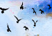 Obraz Lot ptaków - tryptyk z pejzażem nieba, ptakami i promieniami słońca 123436 additionalThumb 4
