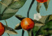 Carta da parati moderna Aranceto - motivo floreale con frutti e foglie su sfondo blu 130436 additionalThumb 3