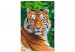 Paint by number Tiger in Green 138436 additionalThumb 3