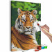 Paint by number Tiger in Green 138436 additionalThumb 5