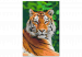 Paint by number Tiger in Green 138436 additionalThumb 7