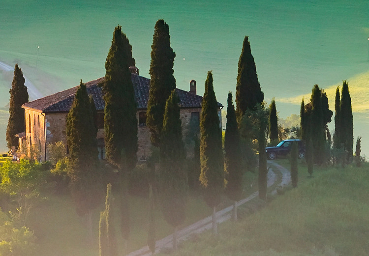 Obraz Krajobraz Toskanii - fotografia zielonych pól o wschodzie słońca 149836 additionalImage 5