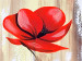 Canvas Three Poppies (3-piece) - Flowers on a pearl background with a textured plank effect 48536 additionalThumb 3