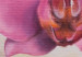 Cadre mural Sensuelle orchidée 48636 additionalThumb 5