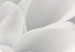 Quadro pintado Dahlia flower in grey shades 49936 additionalThumb 5