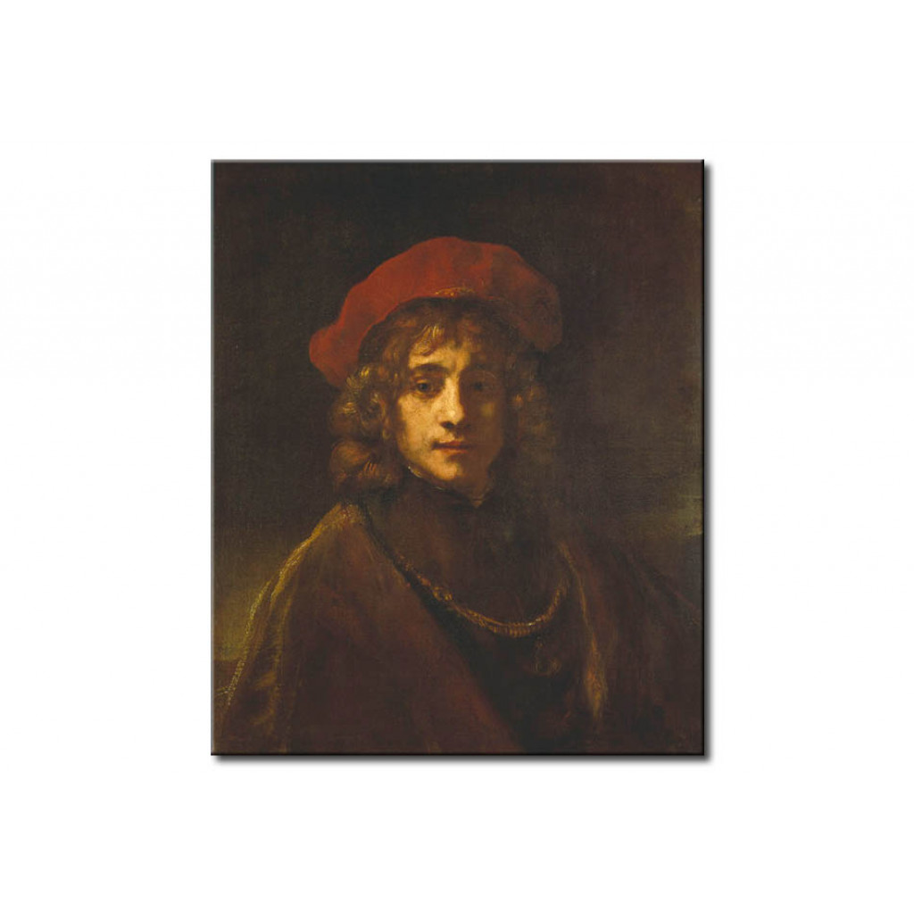 Schilderij  Rembrandt: Rembrandts Sohn Titus