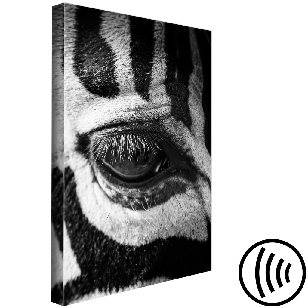 Quadro Em Tela Animal às Riscas (1 Peça) - Visão De Uma Zebra Em Preto E Branco