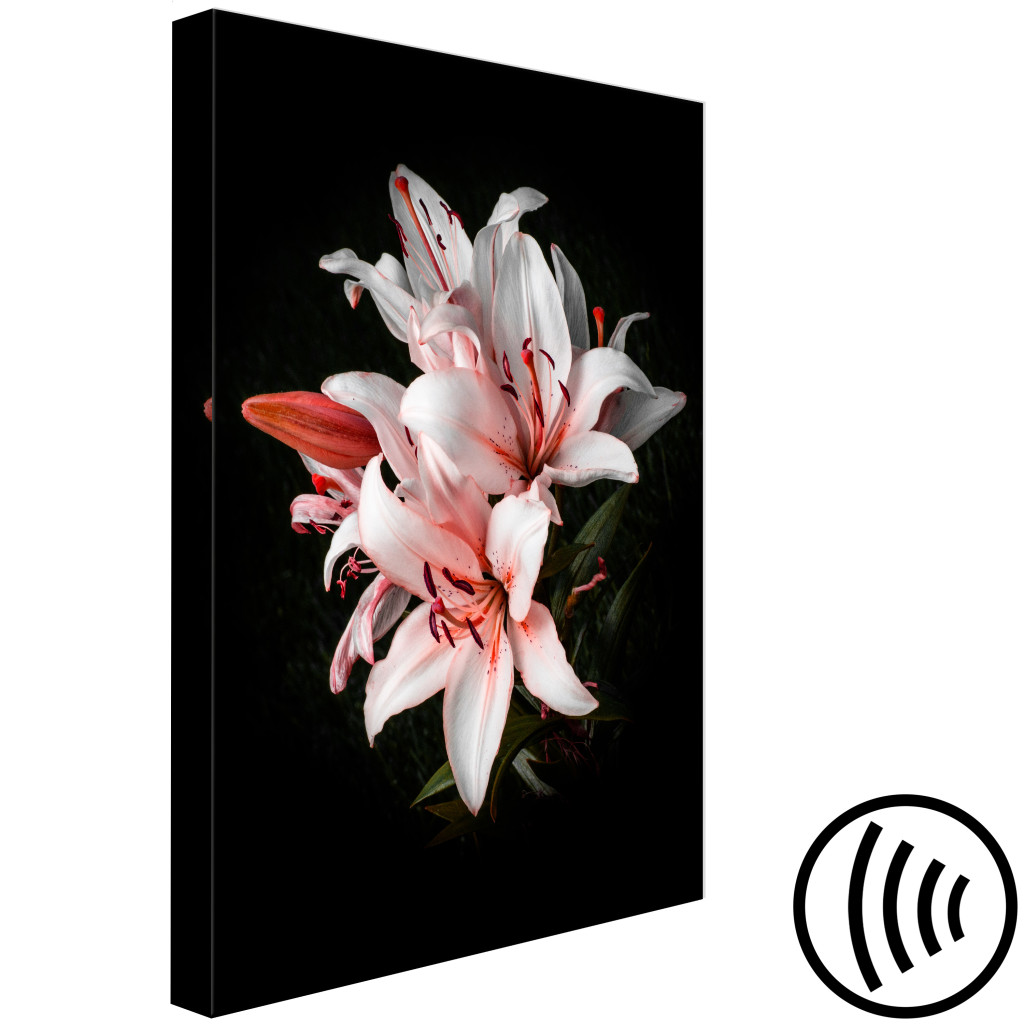 Schilderij  Lelies: Witte Lelies (1-delige Serie) - Schoonheid Van Bloemen In Donker Natuurlijk Licht