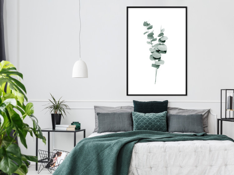 Plakat Gałązki eukaliptusa - minimalistyczne zielone listki rośliny na białym tle 146146 additionalImage 15