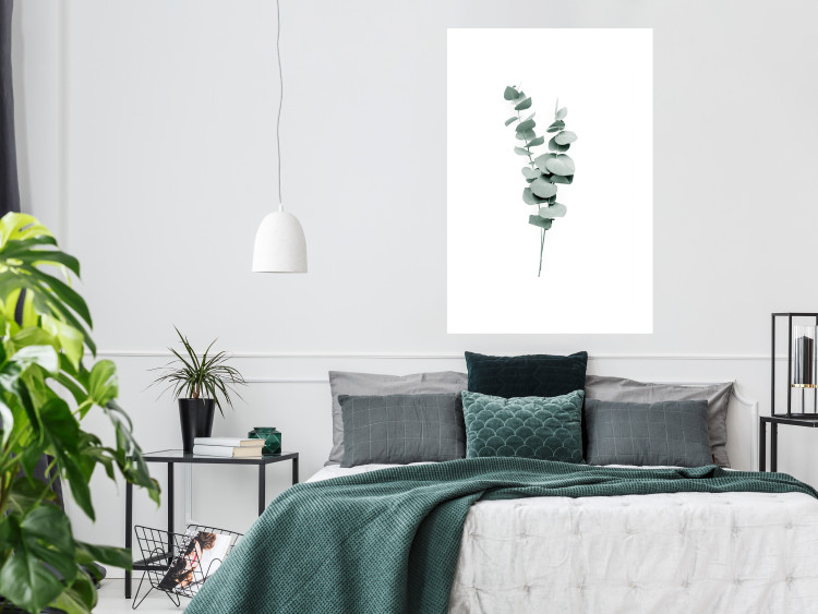 Plakat Gałązki eukaliptusa - minimalistyczne zielone listki rośliny na białym tle 146146 additionalImage 12