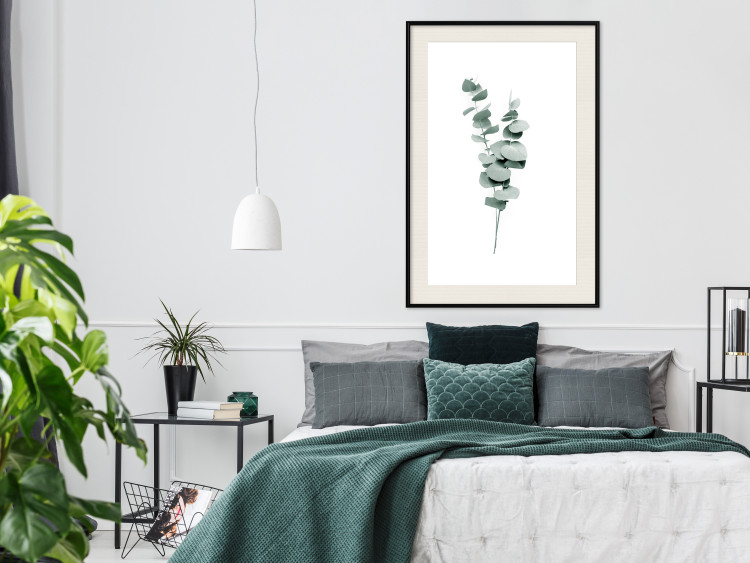 Plakat Gałązki eukaliptusa - minimalistyczne zielone listki rośliny na białym tle 146146 additionalImage 14