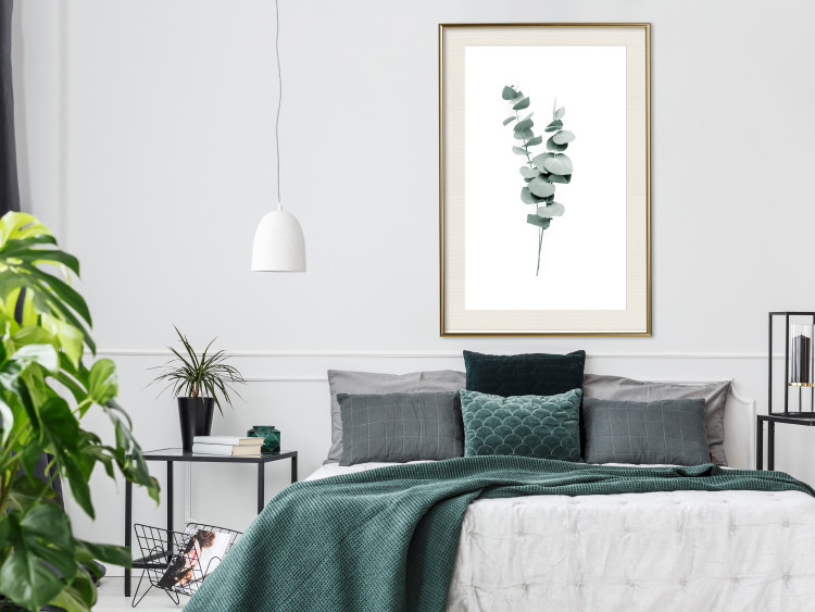 Plakat Gałązki eukaliptusa - minimalistyczne zielone listki rośliny na białym tle 146146 additionalImage 11