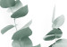 Plakat Gałązki eukaliptusa - minimalistyczne zielone listki rośliny na białym tle 146146 additionalThumb 5