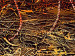 Toile déco Horizon doré (5 pièces) - Fantaisie avec coucher de soleil et feuilles 47246 additionalThumb 3