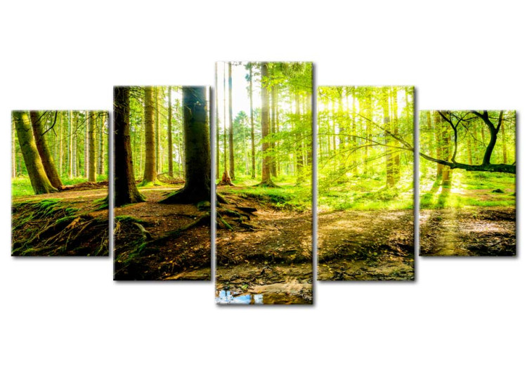 Acrylic Print Poetry of a Forest [Glass] 93946 additionalImage 2