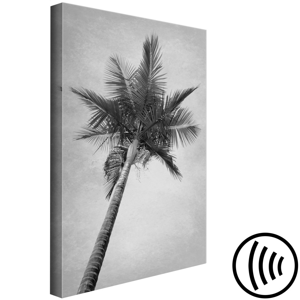 Schilderij  Bomen: Onder Een Palmboom - Zwart-witfoto Van Hoge Palmboom Tegen De Lucht