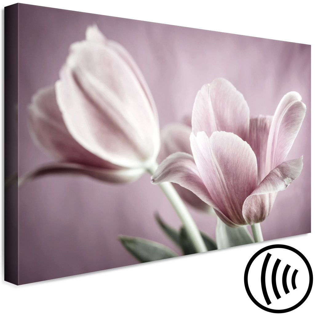 Schilderij  Tulpen: Tulpennachtuur (1-delige Serie) - Roze Bloem In Een Lente-setting