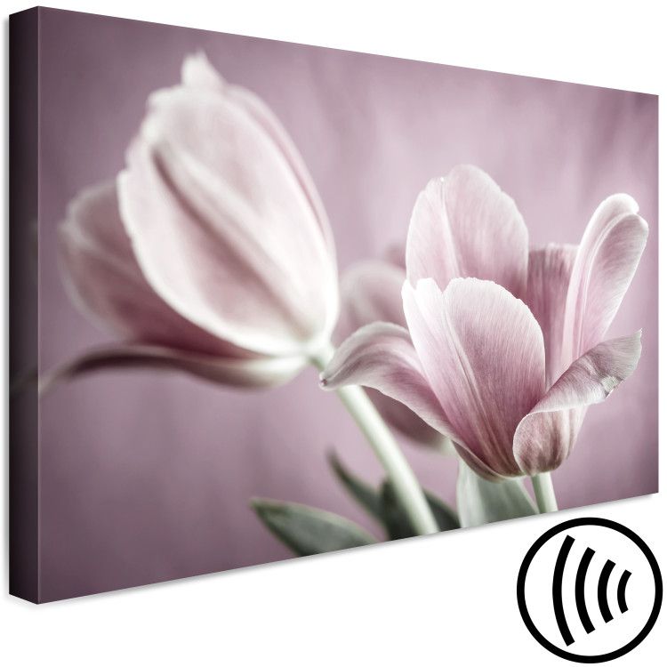 Quadro contemporaneo Natura dei tulipani (1-pezzo) - tulipano rosa in visione primaverile 117156 additionalImage 6