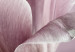 Quadro contemporaneo Natura dei tulipani (1-pezzo) - tulipano rosa in visione primaverile 117156 additionalThumb 4