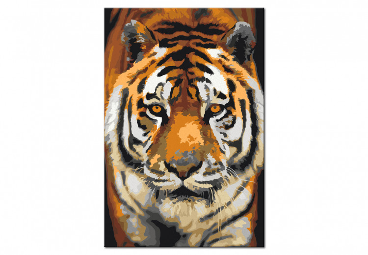 Obraz do malowania po numerach Tygrys azjatycki 127156 additionalImage 6
