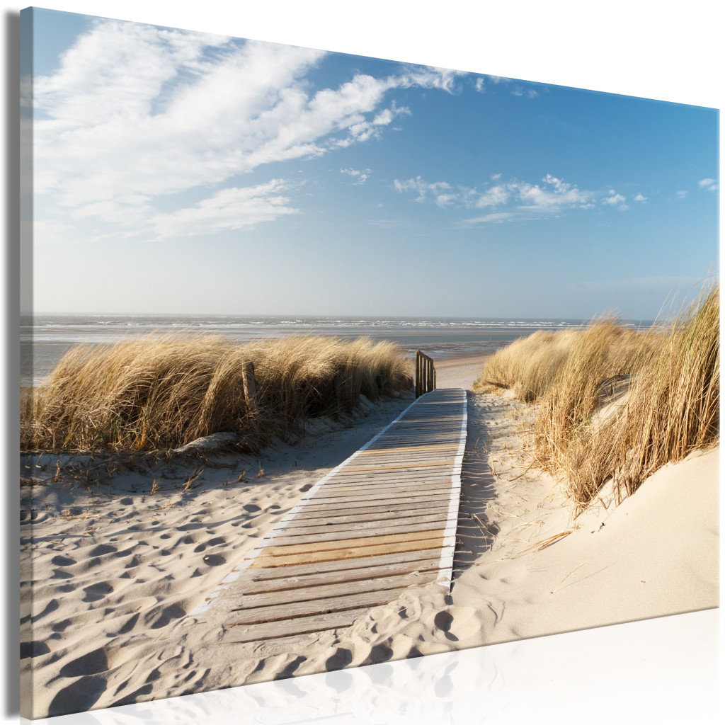 Duży Obraz XXL Ścieżka Na Plaży [Large Format]