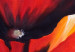 Tableau mural Coquelicots rouges 48556 additionalThumb 1
