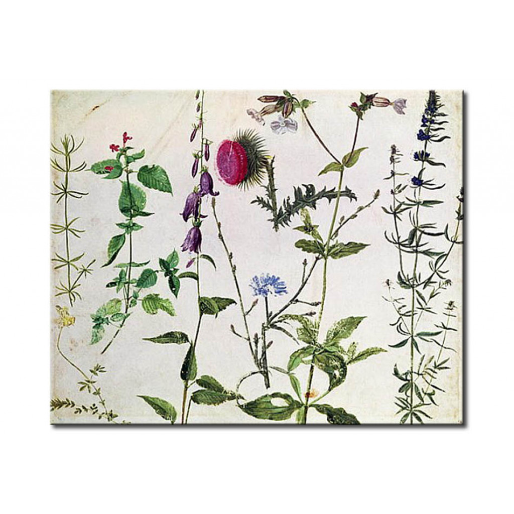 Reprodução Da Pintura Famosa Eight Studies Of Wild Flowers