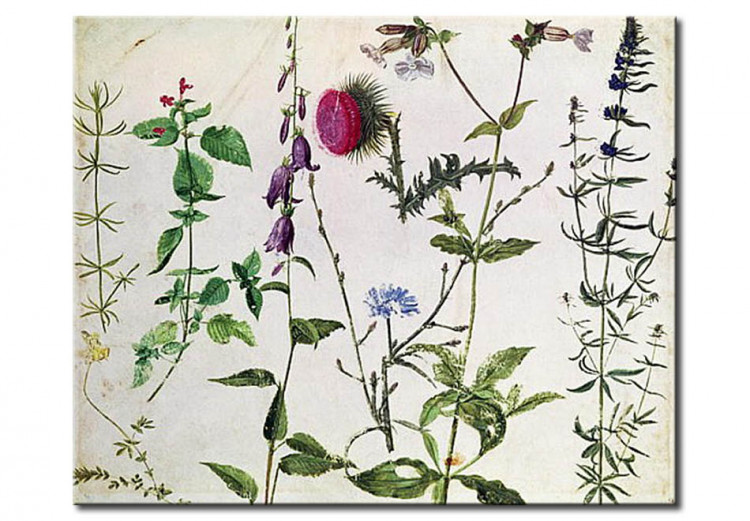 Quadro famoso Otto studi di fiori selvatici 53856