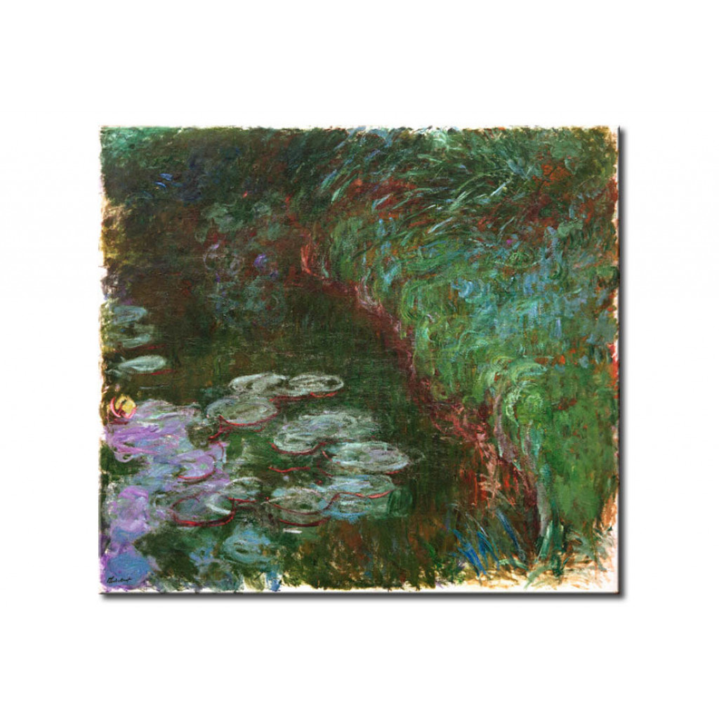 Schilderij  Claude Monet: Nymphéas