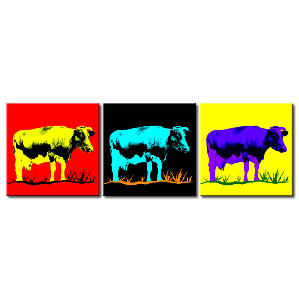 Obraz Krowa Kolorowa