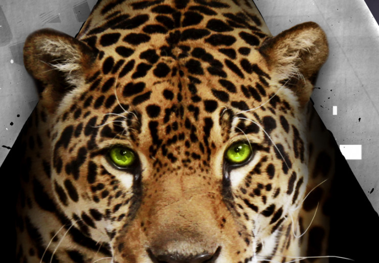 Canvas Cheetah incoming! 56056 additionalImage 5