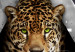 Canvas Cheetah incoming! 56056 additionalThumb 5