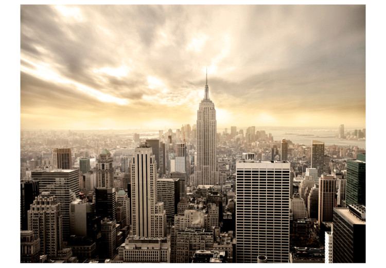 Carta da parati moderna New York: Manhattan all'alba 61556 additionalImage 1
