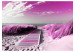 Fototapeta Drewniane zejście - fioletowy pejzaż piaszczystej plaży nad morzem 88956 additionalThumb 1