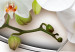 Wandbild Blooming Orchids I 106866 additionalThumb 5