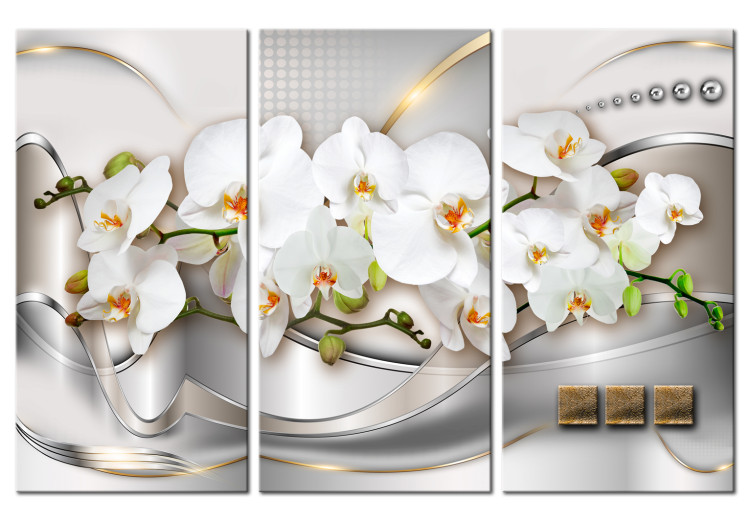 Leinwandbild Blooming Orchids I