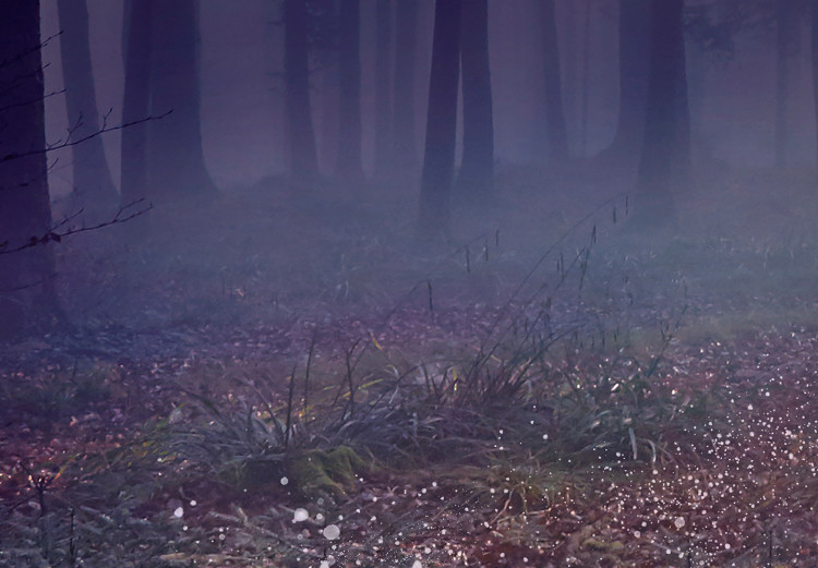 Fotomural Mystical Forest - Second Variant 128766 additionalImage 3