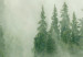 Rund tavla Foggy Forest - Landscape With Trees Among High Mountains 148666 additionalThumb 4