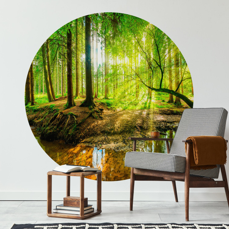 Papier peint rond Forest Pond - Colorful Water Among Green Trees and Vegetation 149166 additionalImage 2