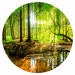 Round wallpaper Forest Pond - Colorful Water Among Green Trees and Vegetation 149166 additionalThumb 1