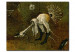Reprodukcja obrazu St. Jerome 51366