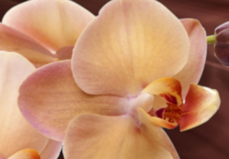 Bild auf Leinwand Orchideenblüte auf schwingendem Hintergrund 55566 additionalImage 4