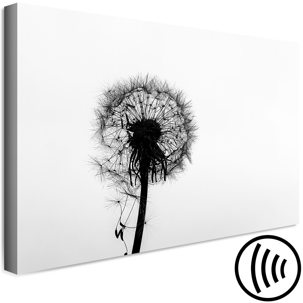 Quadro Pintado Leveza Da Natureza (1 Peça) - Flor De Dente-de-leão Em Preto E Branco