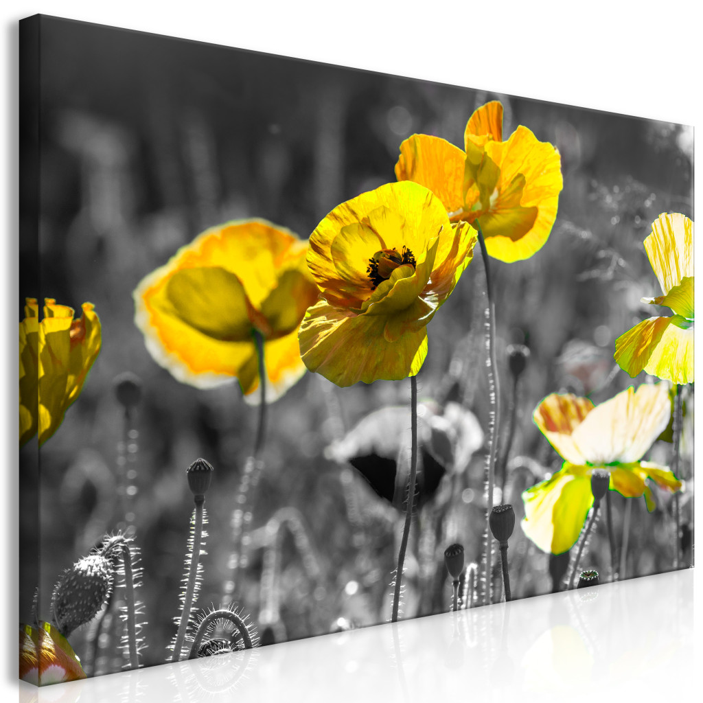 Schilderij Yellow Poppies II [Large Format]