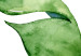 Quadro su tela Due foglie verdi - composizione della pianta in stile boho 136376 additionalThumb 4