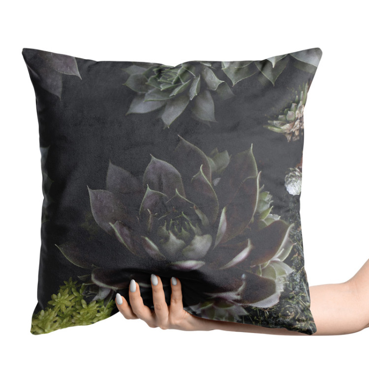 Kissen Velours Nocturnal rose - floral composition of succulents with rich detailing 147076 additionalImage 2