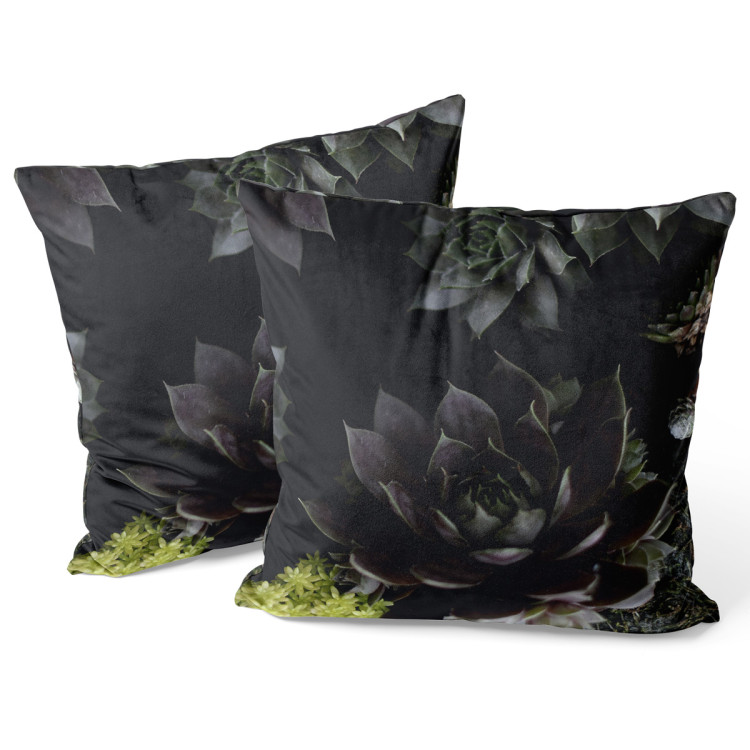 Kissen Velours Nocturnal rose - floral composition of succulents with rich detailing 147076 additionalImage 3