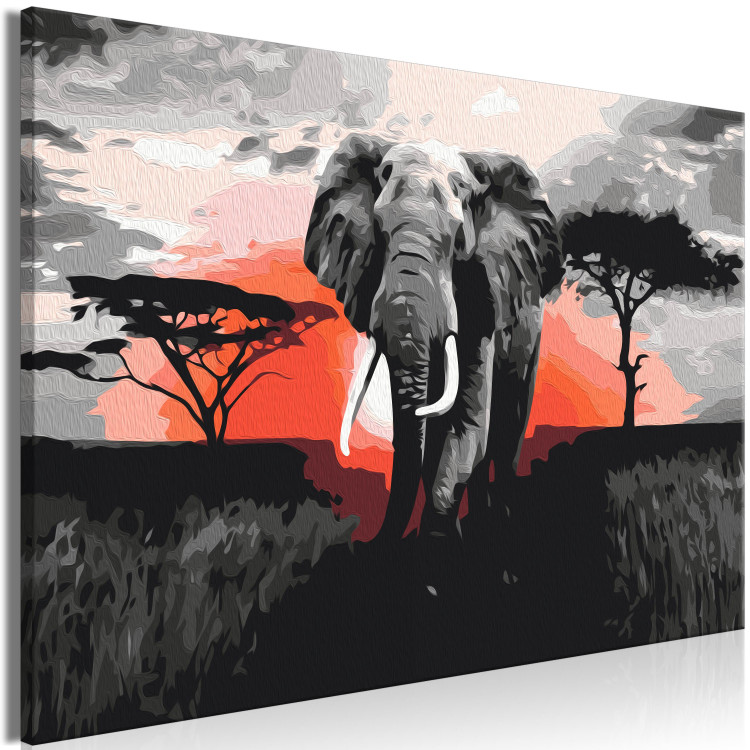 Cuadro numerado para pintar Elephant on Savannah - African Landscape at Sunset 148876 additionalImage 7