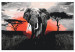Cuadro numerado para pintar Elephant on Savannah - African Landscape at Sunset 148876 additionalThumb 5